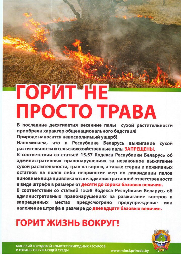 Презентация пал травы